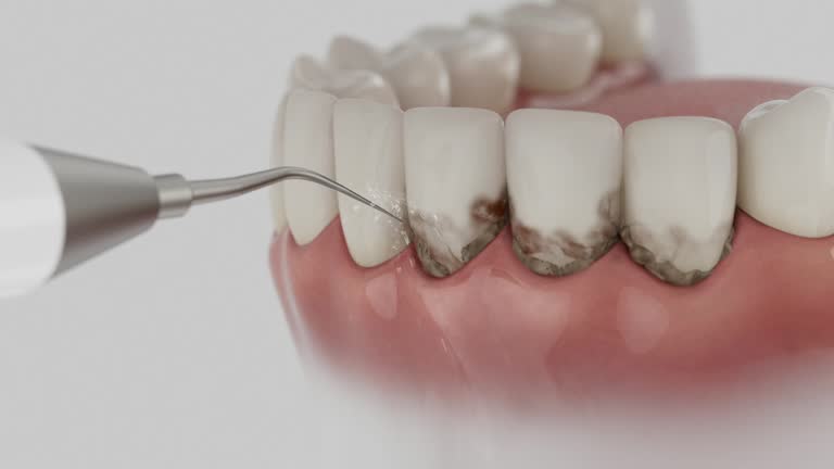 Reliable Dental contractor in Scottdale, PA by Dentist Open Now